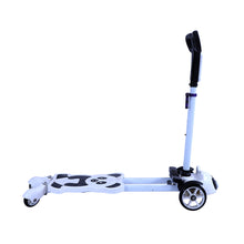 Load image into Gallery viewer, Toyzone Panda Scooter
